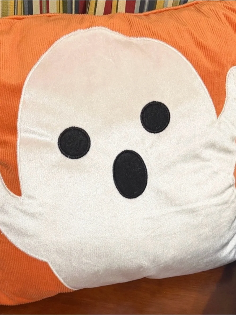 Cynthia Rowley Curious Ghost Pillows 17x17 Corduroy